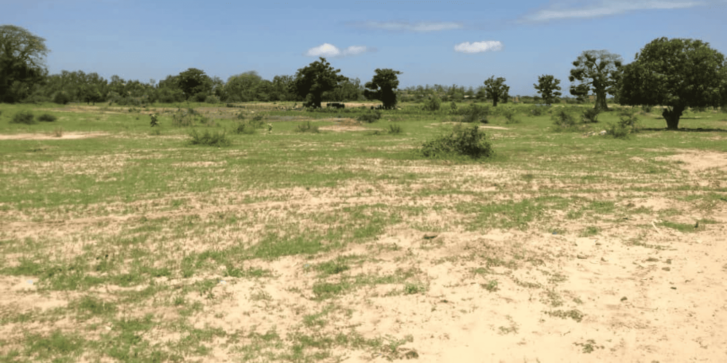 Acheter un terrain pour construire sa maison de rêve : erreurs à éviter et méthode fiable